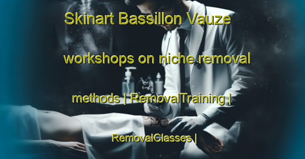 Skinart Bassillon Vauze workshops on niche removal methods | RemovalTraining | RemovalClasses | SkinartTraining-France
